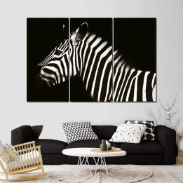 Zebra 2 - 3 részes csík