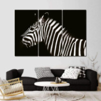 Zebra 2 - 3 részes csík