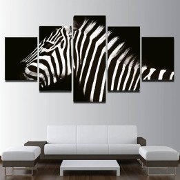 Zebra 2 - 5 részes