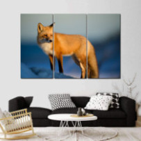 Róka - 3 részes csík