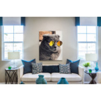 Napszemüveges cica - álló