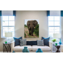 Elefánt - téglalap