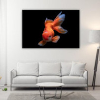 Aranyhal - téglalap