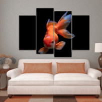 Aranyhal - 4 részes