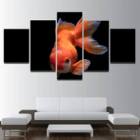 Aranyhal - 5 részes