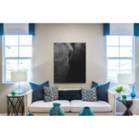 Elefánt fej - álló