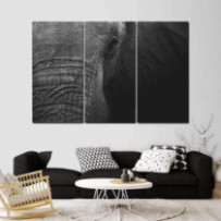 Elefánt fej - 3 részes csík