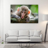 Kis majom - téglalap