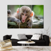 Kis majom - 3 részes csík