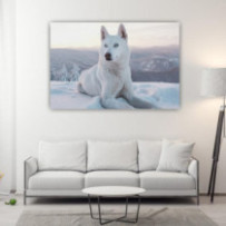 Hófehér Husky - téglalap