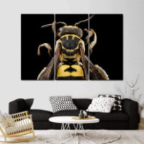 Méh - 3 részes csík