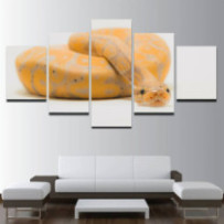 Királypiton - 5 részes