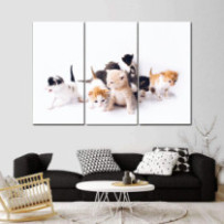 Kiscicák - 3 részes csík