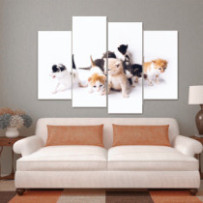 Kiscicák - 4 részes