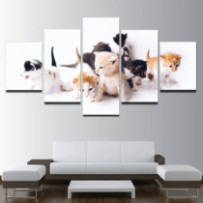 Kiscicák - 5 részes