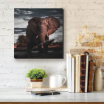 Hatalmas elefánt - négyzet