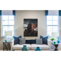 Hatalmas elefánt - álló