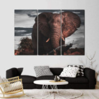 Hatalmas elefánt - 3 részes...