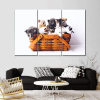 Egy kosár cica - 3 részes csík