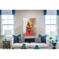 Különleges levelibéka - álló