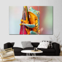 Különleges levelibéka - 3...