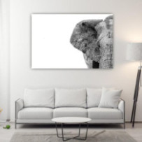 Elefánt fej 2 - téglalap