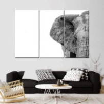 Elefánt fej 2 - 3 részes csík