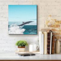 Ugró delfin - négyzet