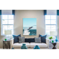 Ugró delfin - álló