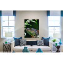 Zöld leguán - álló