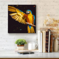 Sárga-kék ara - négyzet