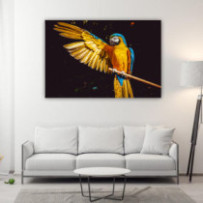 Sárga-kék ara - téglalap