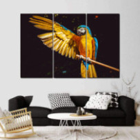 Sárga-kék ara - 3 részes csík