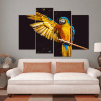 Sárga-kék ara - 4 részes