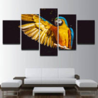 Sárga-kék ara - 5 részes