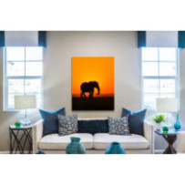 Elefánt a naplementében - álló