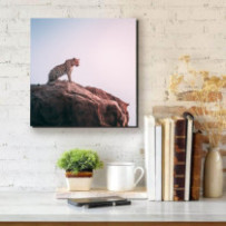 Leopárd 2 - négyzet