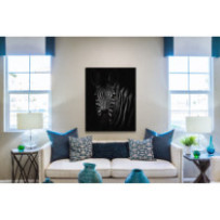 Zebra portré - álló