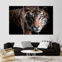 Tigris 2 - 3 részes csík