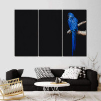 Jácintkék ara - 3 részes csík