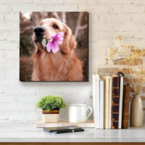Golden Retriever virággal - négyzet