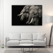 Elefántok fekete-fehér -...