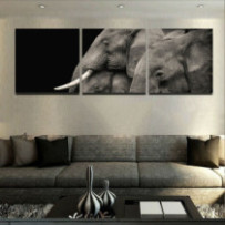 Elefántok fekete-fehér - 3...