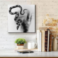 Kígyó  fekete-fehér - négyzet