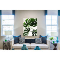 Könnyezőpálma - álló