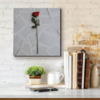 Egy szál rózsa - négyzet