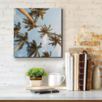 Pálmák alatt - négyzet